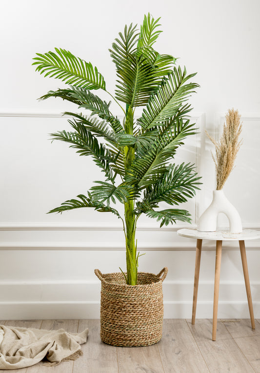 Weave Seagrass Handled Baskets ‏